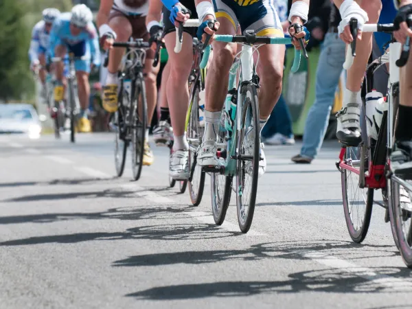 Cyclists on a road