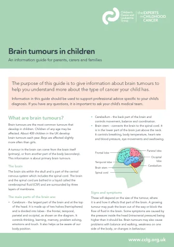 Front cover for factsheet - brain tumours